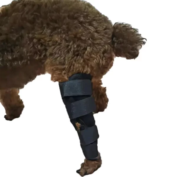 Custom orthopedic dog ccl leg knee brace for acl injury